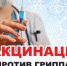 Особенности вакцинации против гриппа в 2020году - Коченевский район