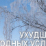 Аномально холодная погода - Коченевский район